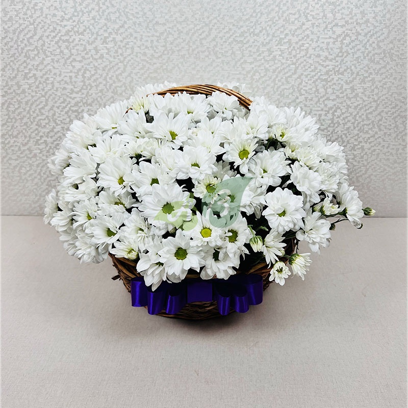 Корзина белых хризантем